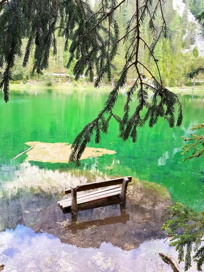 Auszeit Steiraland 6 Mit Ueberdachter Terasse Schoenen Garten Und Kostenlosen Parkplatz Леобен Экстерьер фото